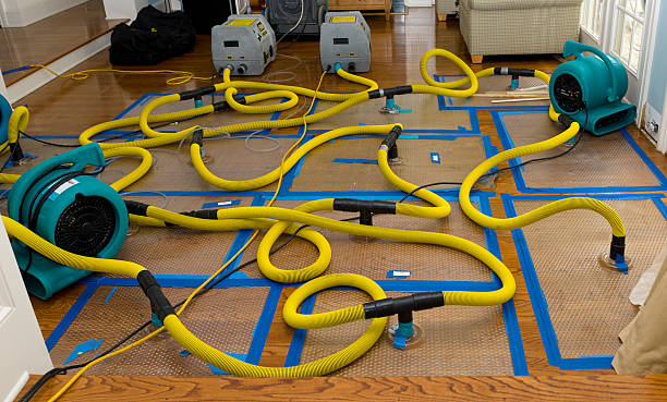 Professional Sewage Cleanup technician working in Moss Point, MS